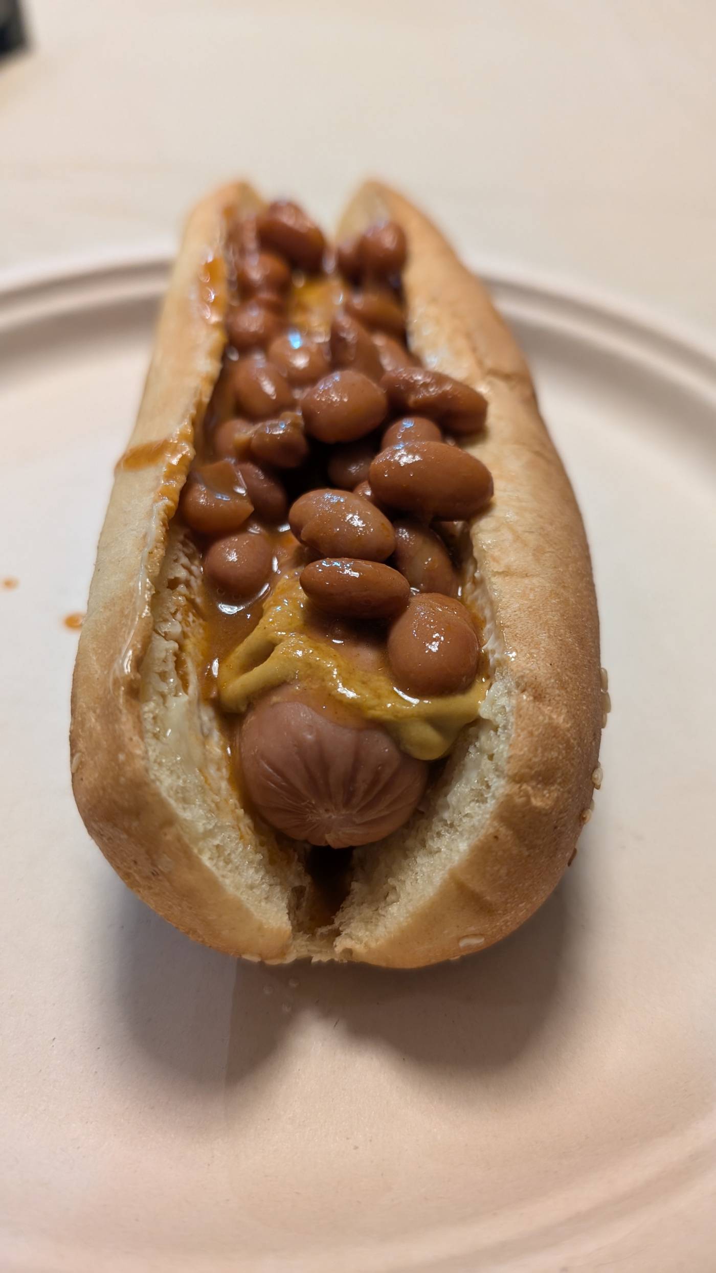 HotBeandog