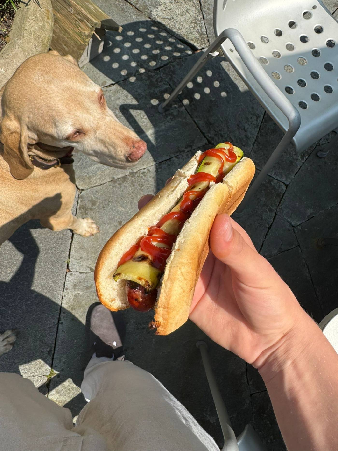 Hot Dog mit hot dog
